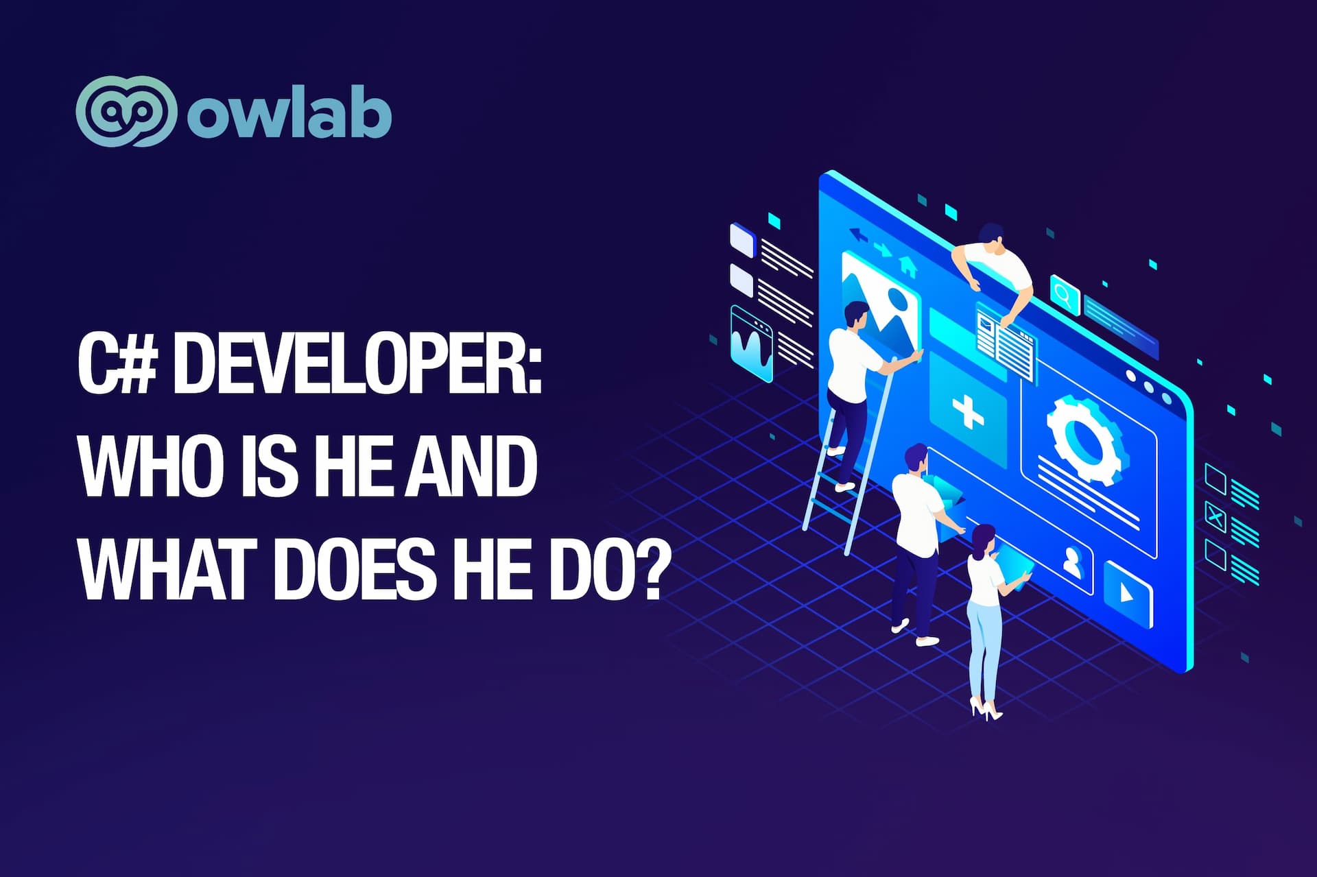 C# Developer: Who is He and What Does He Do?